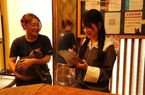 にゃんこ2匹がお出迎え♪看板猫がいるサロン