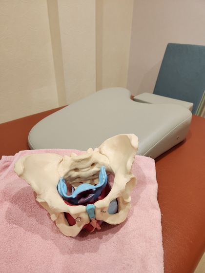 女性専門だから女性特有のお悩みも気軽に相談できる