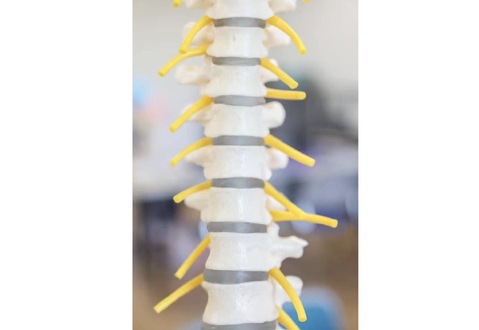 幼児から80代の方まで幅広い世代に合わせたメニューをご提案	