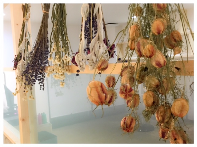 店内にドライフラワーや多肉植物をディスプレイしています