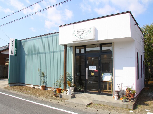 Hair & relaxation Summer Leaf