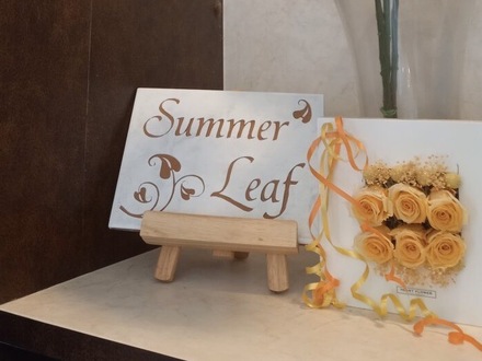 頭皮と髪の悩みを解決するヘッドスパ